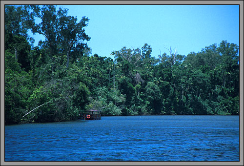 Daintree River