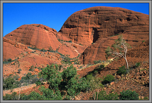 Kata Tjuta
