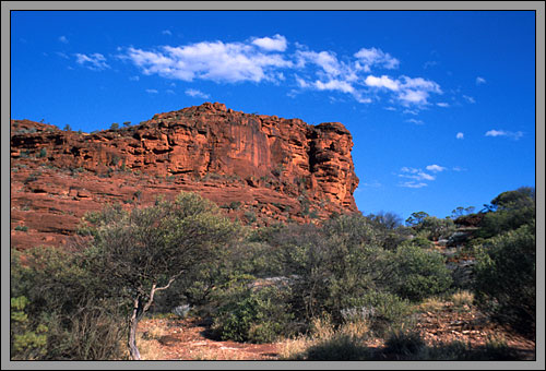 Klippe im Palm Valley