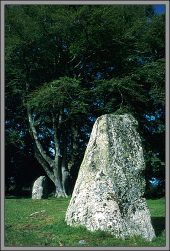 Clava Cairns