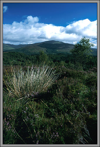 Trossachs